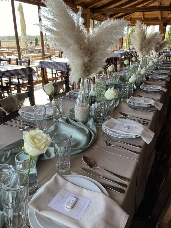 vojvođanski_salaš_prostor_venčanje_proslava_na_otvorenom (7) (Copy)